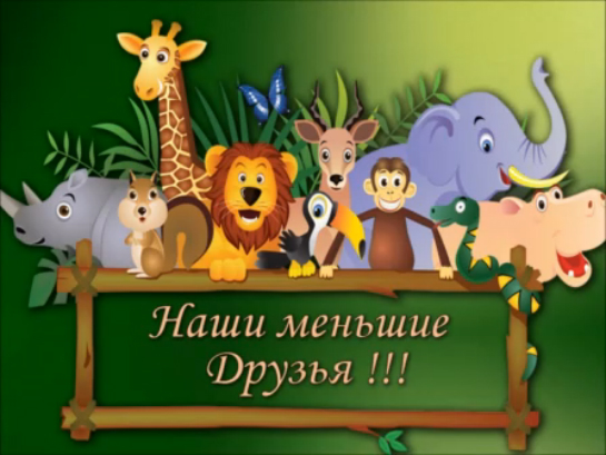 НАШИ МЕНЬШИЕ ДРУЗЬЯ / Зоопарк в Калининграде / от Мари смотреть онлайн