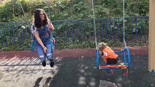 Домашние Макаки-Обезьянка Маша смотреть онлайн