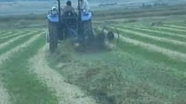 Грабли смотреть онлайн