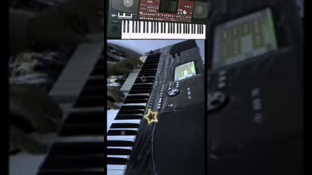 Korg pa 700 orental смотреть онлайн