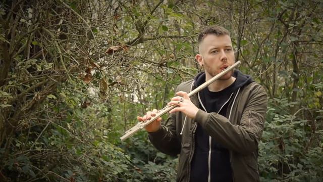 "A Window to the Past" - Flute Cover смотреть онлайн