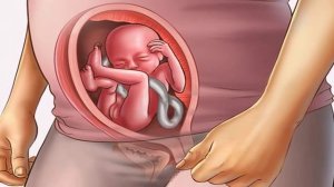 20 НЕДЕЛЯ БЕРЕМЕННОСТИ