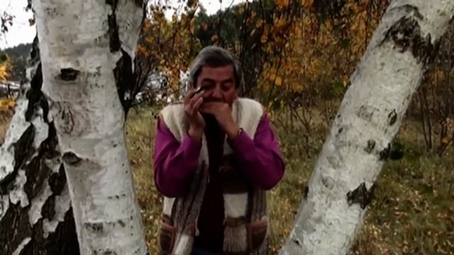 Kalinka. Калинка. Ludowa rosyjska pieśń na harmonijce ustnej. смотреть онлайн
