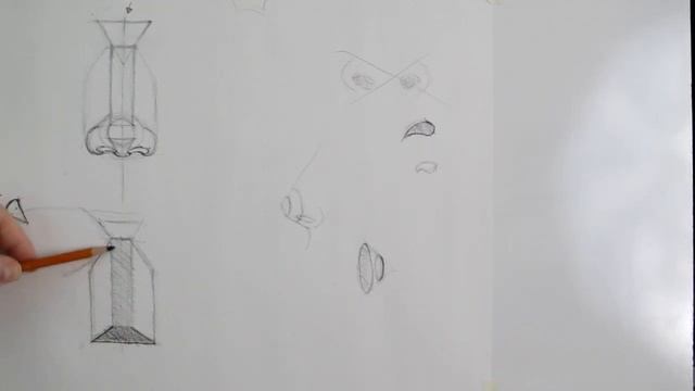 How to Draw a Nose Using The Basics смотреть онлайн