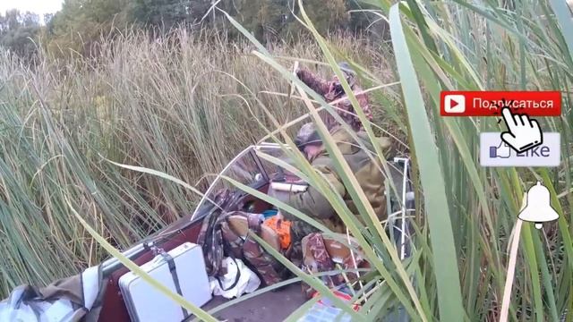 ЩУКА ВОБЛЕР ПОПА И КАМЫШ ???? #ловлящукинакружки #рабалканакружки смотреть онлайн