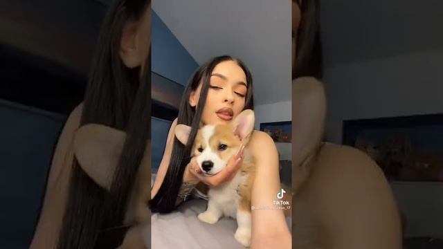 Какую породу собачки ты бы выбрал(а)? ?♥️ смотреть онлайн