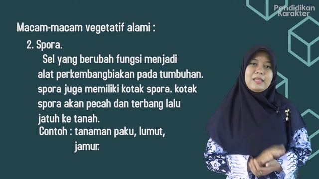 Perkembangbiakan secara vegetatif alami, pelajaran Ipa, tema 1, kelas 6 смотреть онлайн