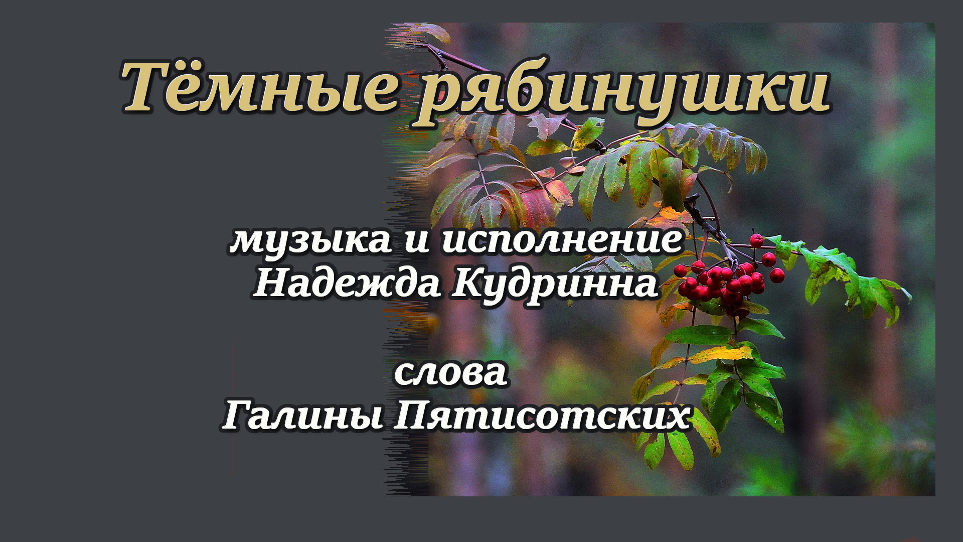 Тёмные рябинушки, музыка и исполнение Надежда Кудрина, слова Галины Пятисотских.mp4
