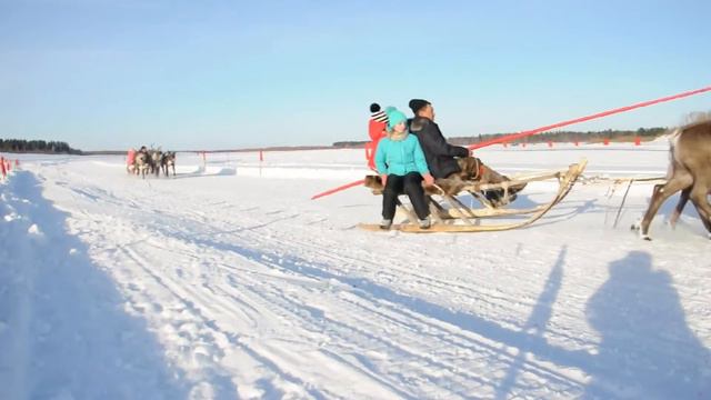 День оленевода 2016 в поселке Саранпауль. смотреть онлайн