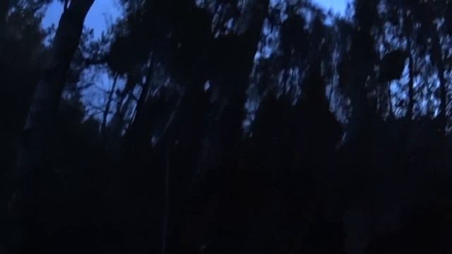 ОХОТА на БОБРА с МР-155, САЙГА, БЕКАС-АВТО. Открытие сезона. Фонари Армитек.