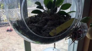 Хранение Сфагнума мха