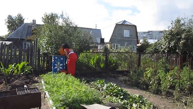 Поздравление-ритуал на деревянную свадьбу. смотреть онлайн