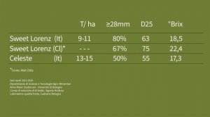 Черешня, новая серия сортов SWEET