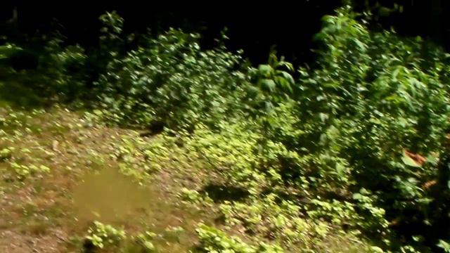 シットオンカヤック　屈斜路湖中島　探検 смотреть онлайн