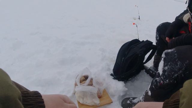 ЗИМНЯЯ РЫБАЛКА НА ВОЛГЕ. ГОРЬКОВСКОЕ ВОДОХРАНИЛИЩЕ. ХИЩНИК. смотреть онлайн