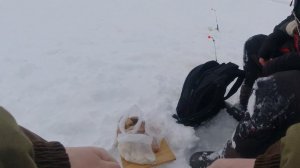 ЗИМНЯЯ РЫБАЛКА НА ВОЛГЕ. ГОРЬКОВСКОЕ ВОДОХРАНИЛИЩЕ. ХИЩНИК.