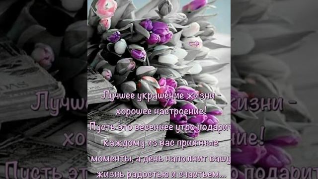 Утренний привет