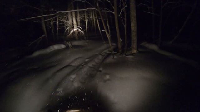 Skidoo Tundra 600 ACE - Deep snow cruising at night смотреть онлайн