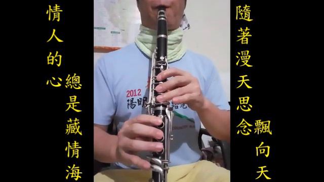 向蕙玲-月娘的眼淚-降B調黑管/豎笛/單簧管/Clarinet練習01(cover-by 任閒騎miraclemaryboy)降B調 смотреть онлайн