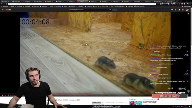 Реакция Диктора на: Кто первым выйдет с лабиринта: КОТ, ЕНОТ или ХОМЯК!? тот получит 300$ смотреть онлайн