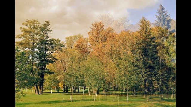 Осень в Приморском парке Победы. Часть 1