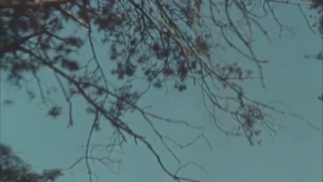 Символ границы смотреть онлайн