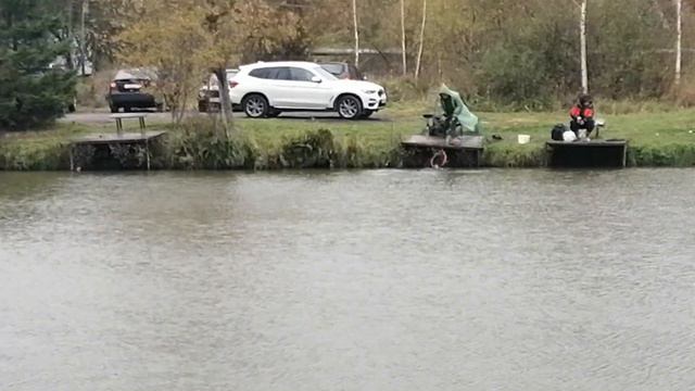 Светлые Горы Форель5 14.10.2023г. смотреть онлайн