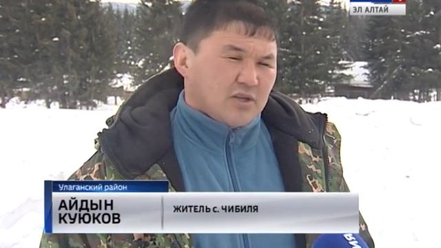 Почти 1 тыс. личных подсобных хозяйств Улаганского района оказана материальная помощь смотреть онлайн