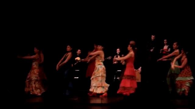 Alegrias - 2.  Uluslararası Flamenko Ankara Festivali Mayıs 2008
