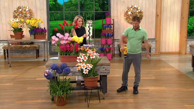 Roberta's 185 Piece Enchanted Spring Garden Collection on QVC смотреть онлайн