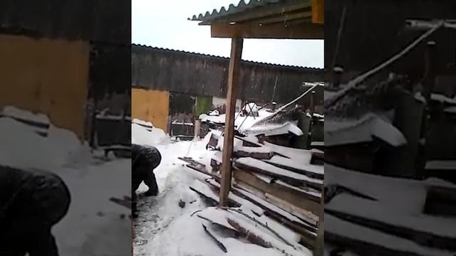 как смолить свинью