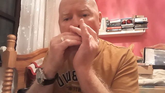 summertime harmonica cover смотреть онлайн