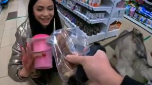 ✨день рождения Майка Маламута ❤️?