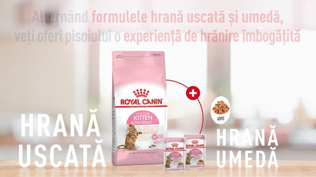 ROYAL CANIN KITTEN STERILISED RO смотреть онлайн