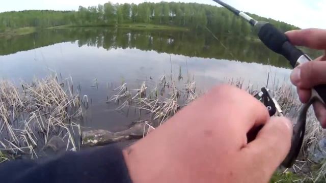 Lucky John Tioga #085  эта приманка по окуню сделала рыбалку на все 100%