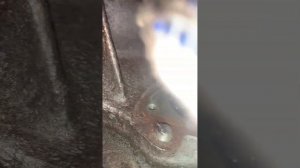 Датчик положения коленвала Chevrolet Cruze 1.8