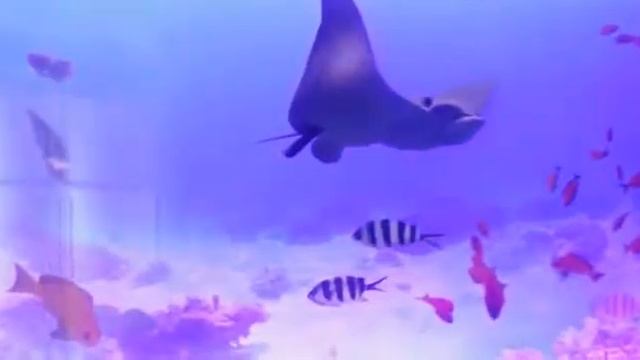 3D потолки смотреть онлайн