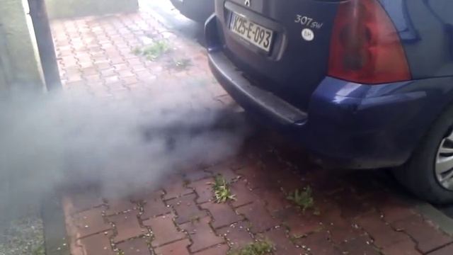 Peugeot 307 2 0 Hdi DPF regeneration смотреть онлайн