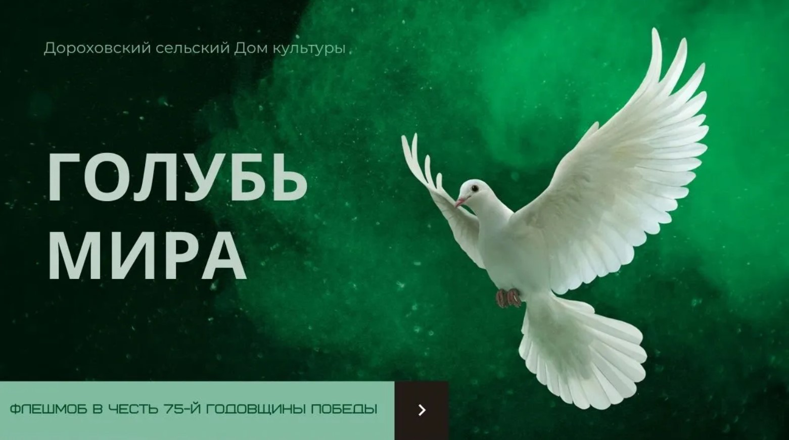 БОЛЬШАЯ ТКАНЕВАЯ АППЛИКАЦИЯ "ГОЛУБЬ МИРА" / 2020