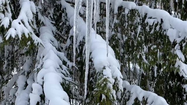 ❓Что такое капель? ?