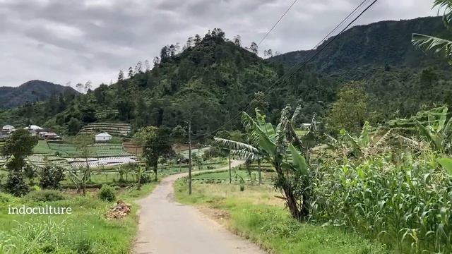 Indonesian village life in the mountains смотреть онлайн