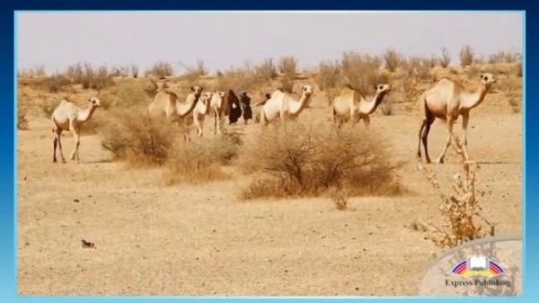 Excel 9. Module 5. The promised land.