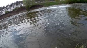 Ловля голавля на кайт Зомбер ТУКА на каменистых перекатах