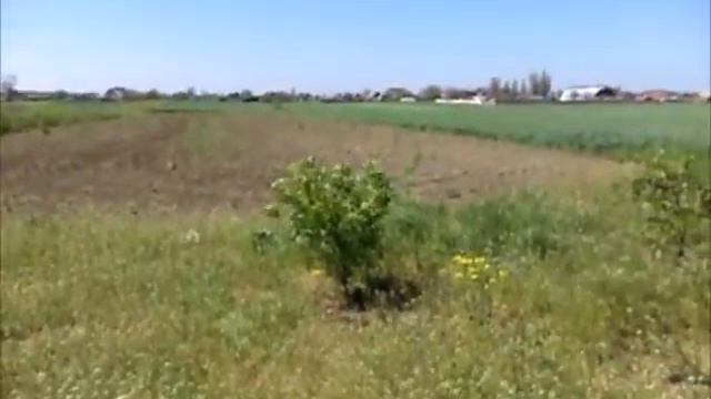 Продается дача в Степановке смотреть онлайн