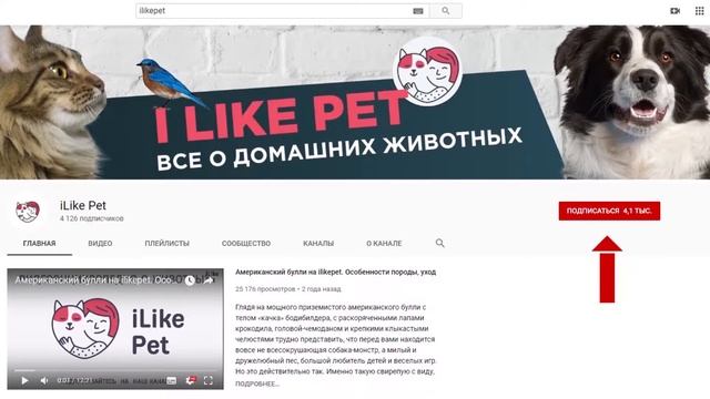 Почему собака убегает от хозяина на прогулке: 4 причины смотреть онлайн