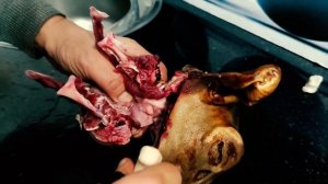 РАЗДЕЛКА ГОЛОВЫ БАРАНА (1 ЭТАП)