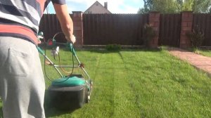 Когда стричь газон первый раз? Как стричь газон газонокосилкой? Когда стричь газон после зимы?