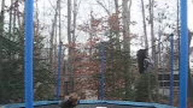 WWP =frog splash extreme # 1 смотреть онлайн