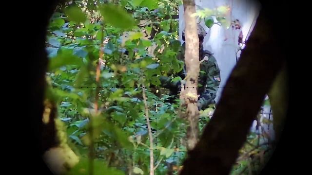 Отчёт с открытой игры 17 09 2023