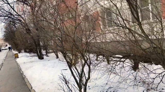 Много чаёк летает и каркуша каркают вот такая прекрасная прогулка смотреть онлайн